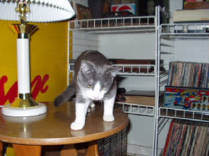 picture005.jpg